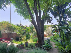 Room with a garden